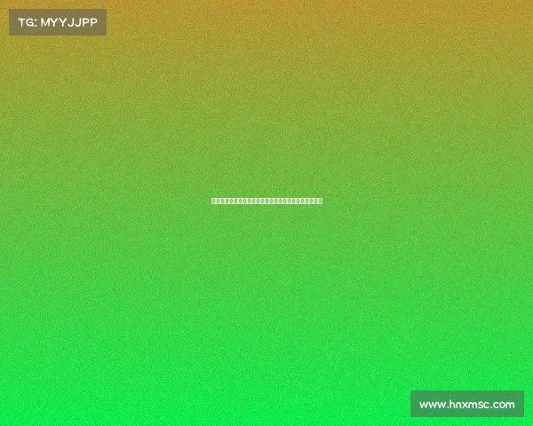 新县赛事新县体育盛事激情上演万众瞩目共创辉煌新篇章