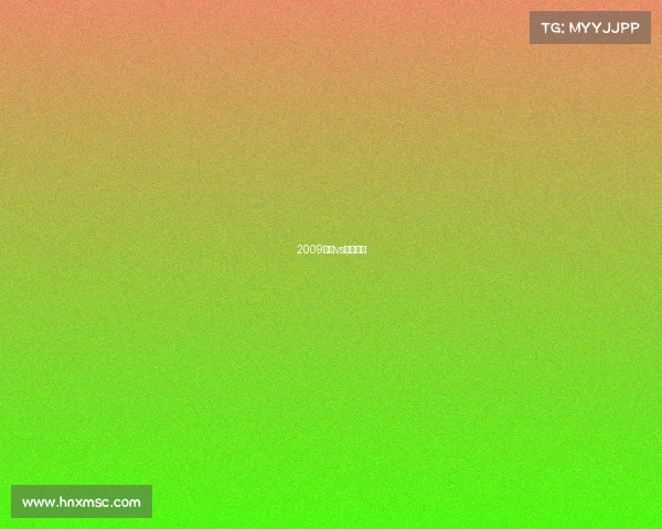 2009魔术vs骑士比分