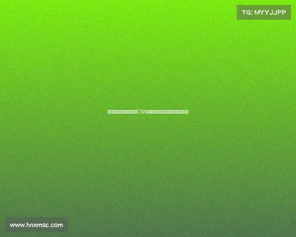 聚焦中国男子篮球职业联赛CBA赛事数据市场探索发展前景与商业机遇